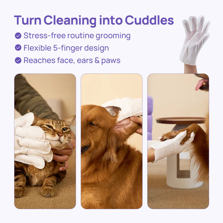 Toallitas desodorantes para perros y gatos: una alternativa al baño sin agua