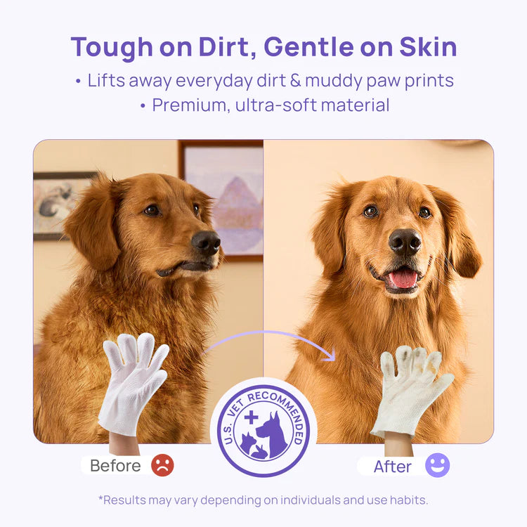 Toallitas desodorantes para perros y gatos: una alternativa al baño sin agua