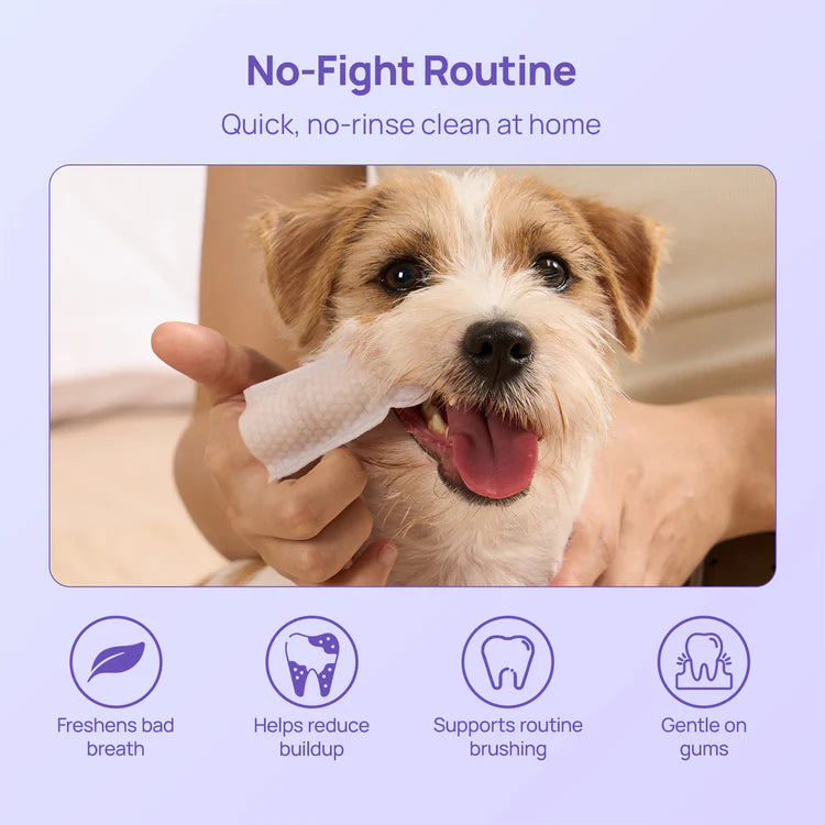 Toallitas dentales para perros y gatos 50pz