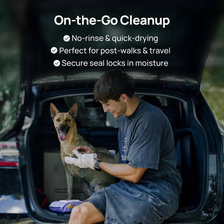 Toallitas desodorantes para perros y gatos: una alternativa al baño sin agua