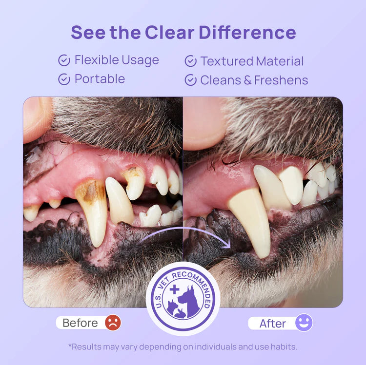 Toallitas dentales para perros y gatos 50pz