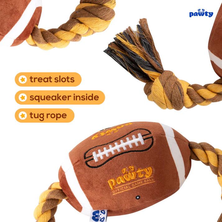 PAWTY American Football