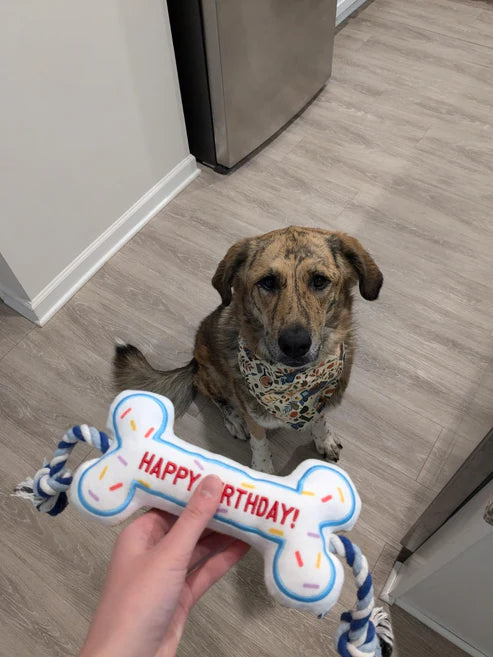PAWTY Birthday Bone