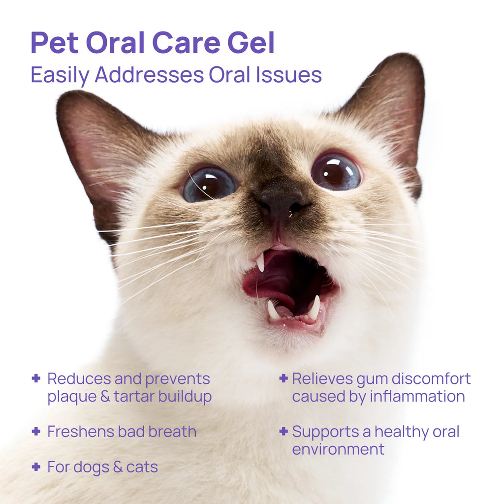 Gel para el cuidado bucal de perros y gatos