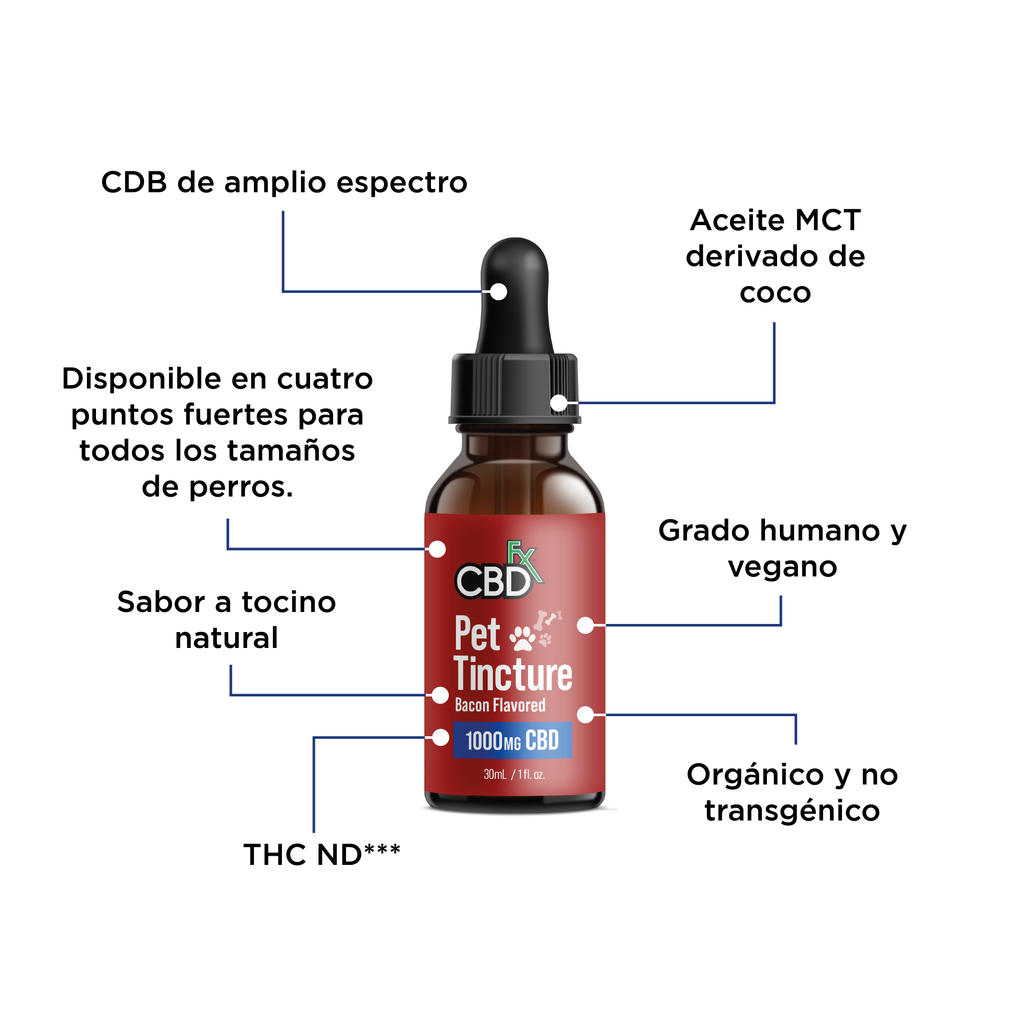 CBDfx Infografias Mascotas