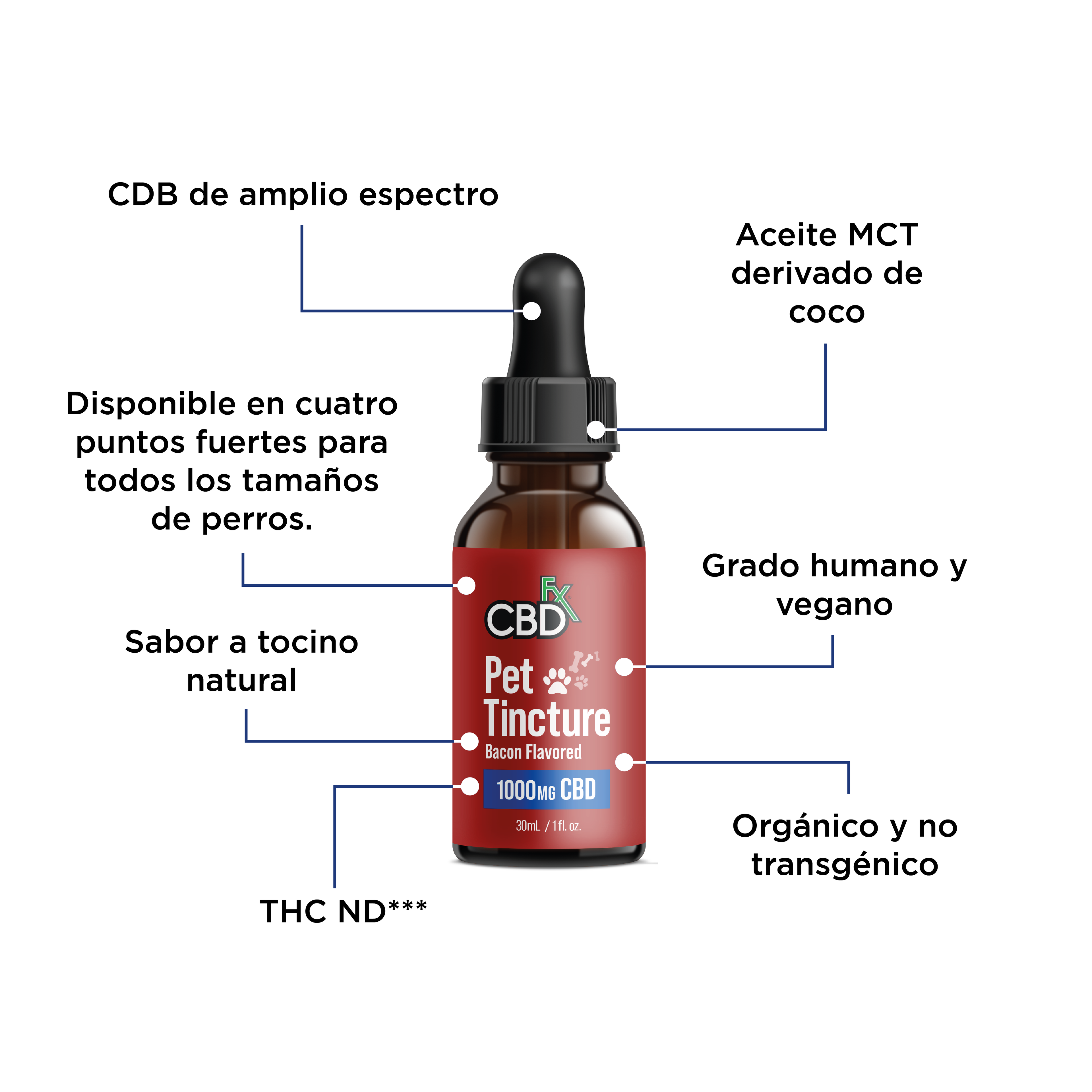 CBDfx Infografias Mascotas
