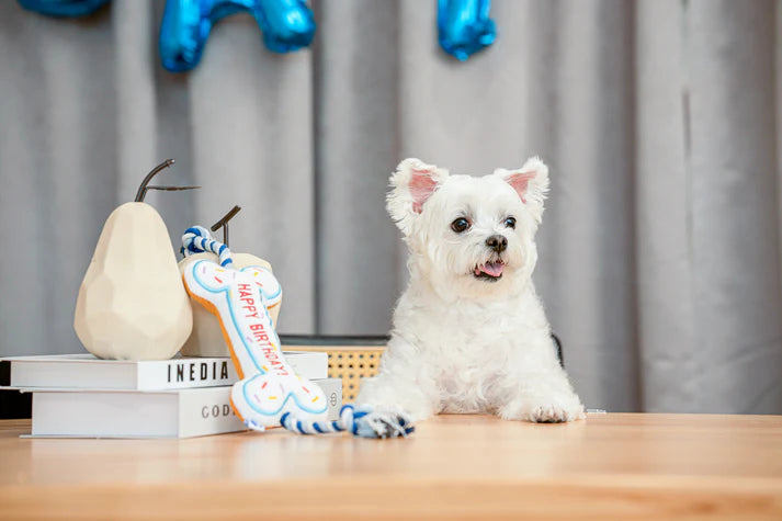 PAWTY Birthday Bone