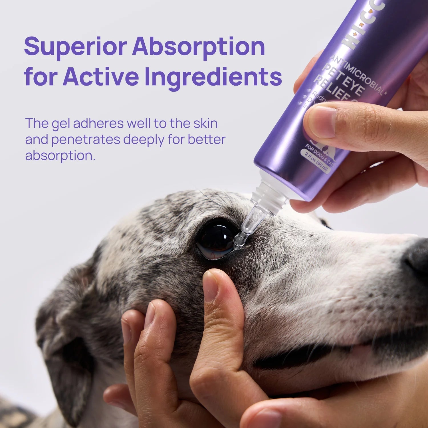 Gel para aliviar los ojos de perros y gatos