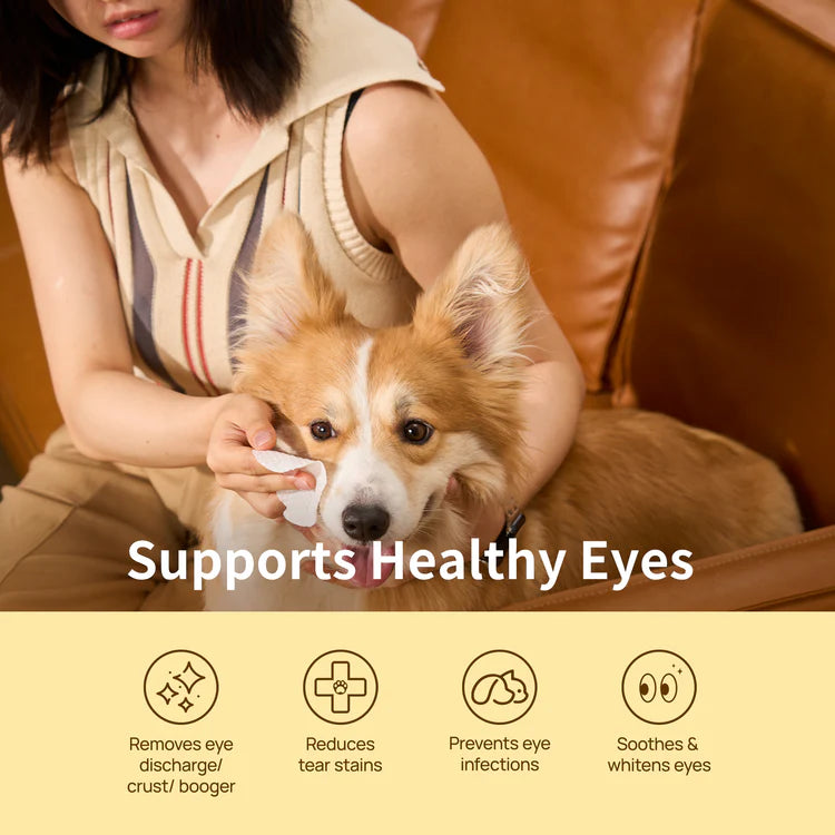 Toallitas hipoalergénicas para los ojos de perros y gatos