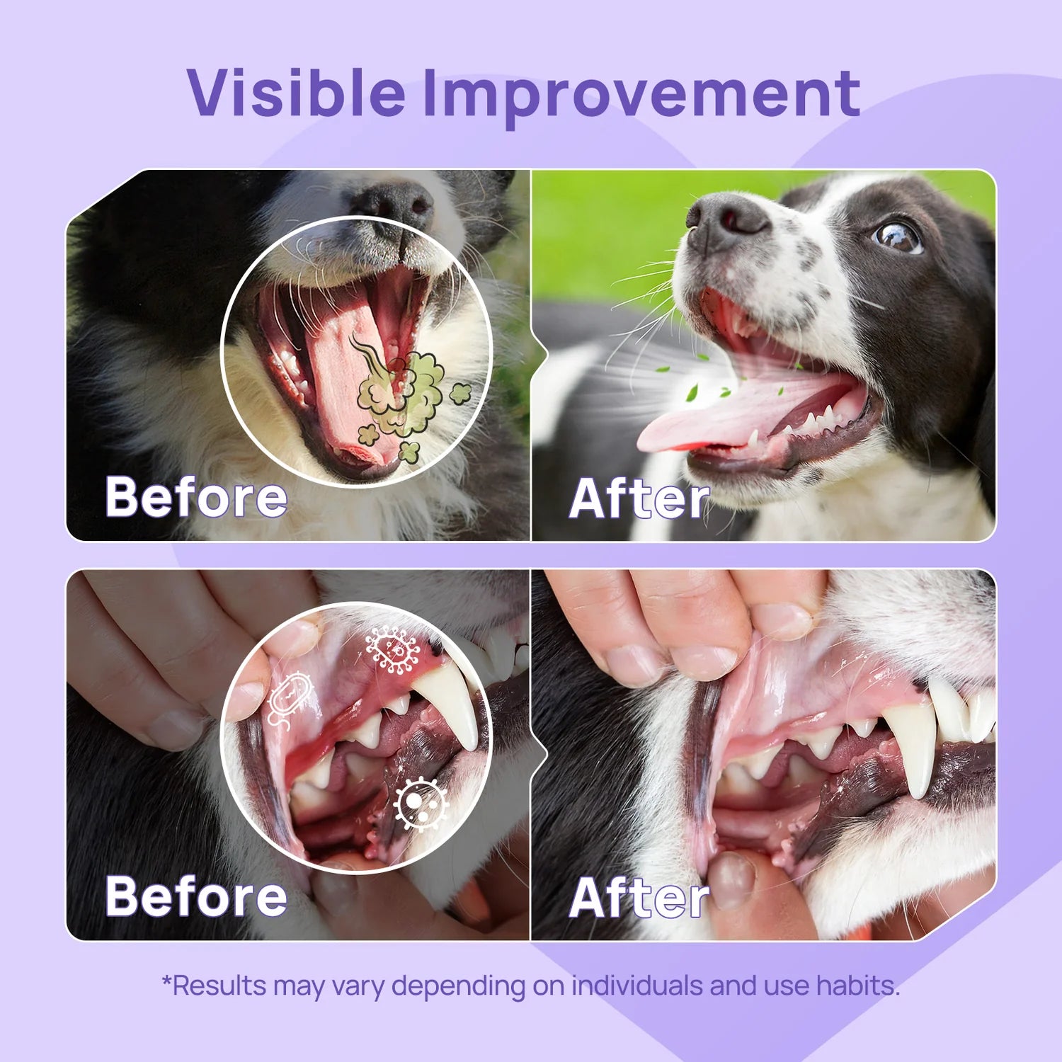 Spray dental para el cuidado bucal de perros y gatos