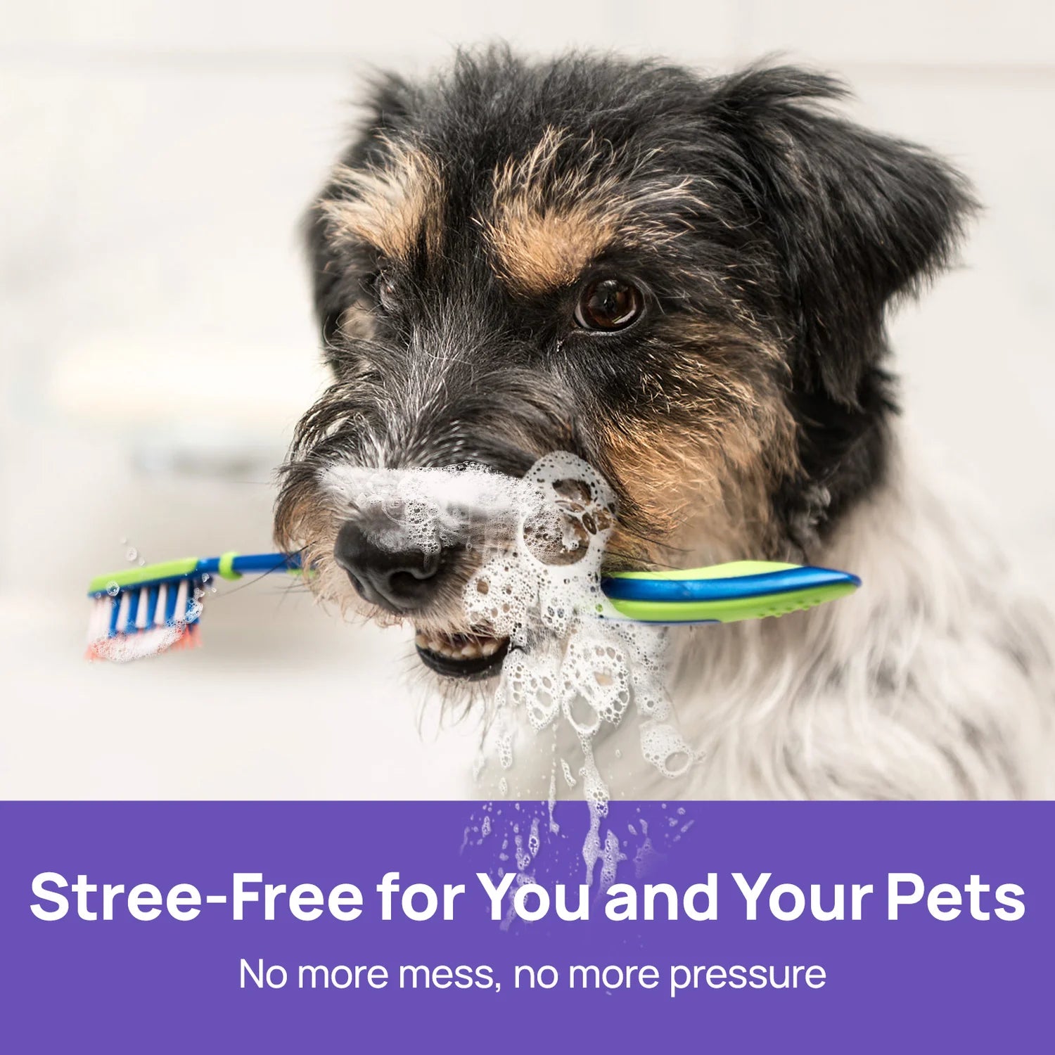 Spray dental para el cuidado bucal de perros y gatos