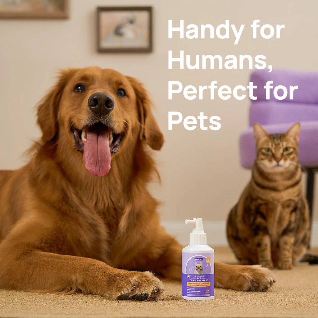 Spray dental para el cuidado bucal de perros y gatos