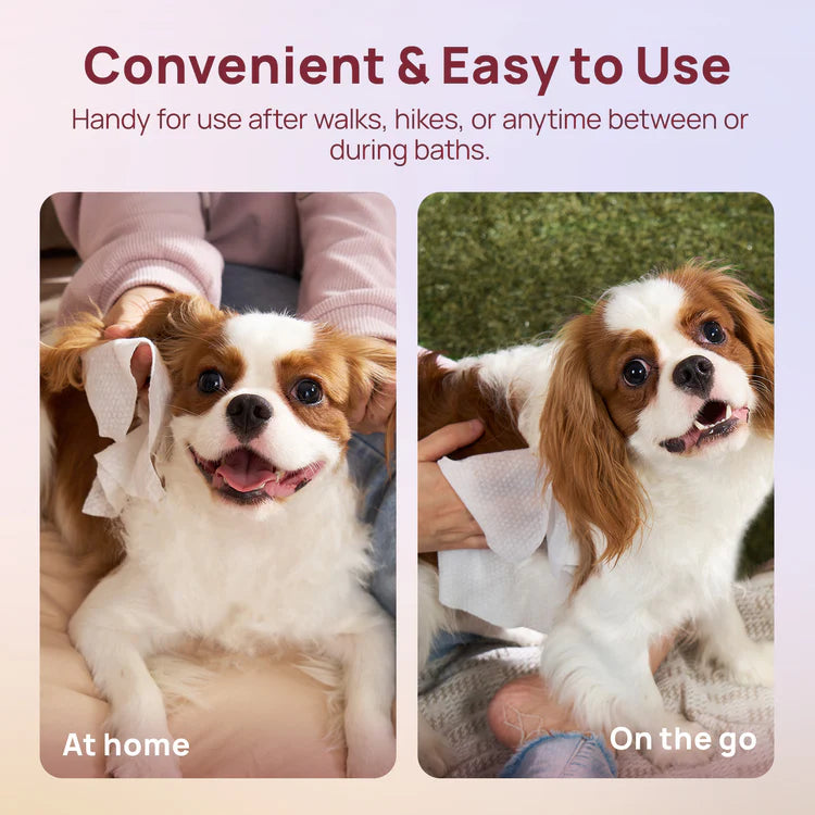 Toallitas vegetales para perros y gatos
