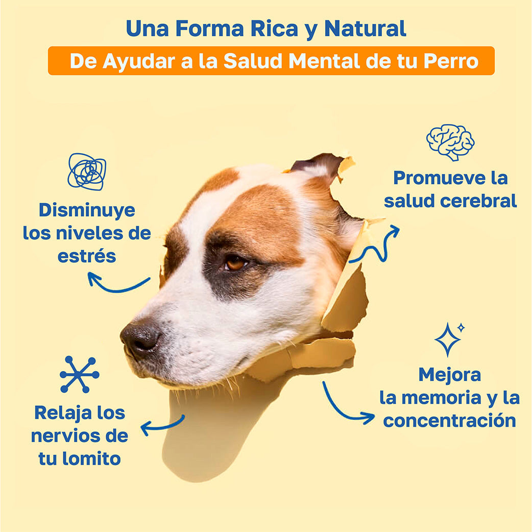 Descripcion Cognitive: Disminuye los niveles de estres, promueve la salud cerebral