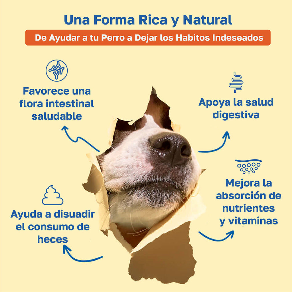 Decripcion no poo: favoreve una flora intestinal saludable, Apoya la salud digestiva, ayuda a disuadir el consumo de heces, mejora la absorcion de nutrientes y vitaminas 