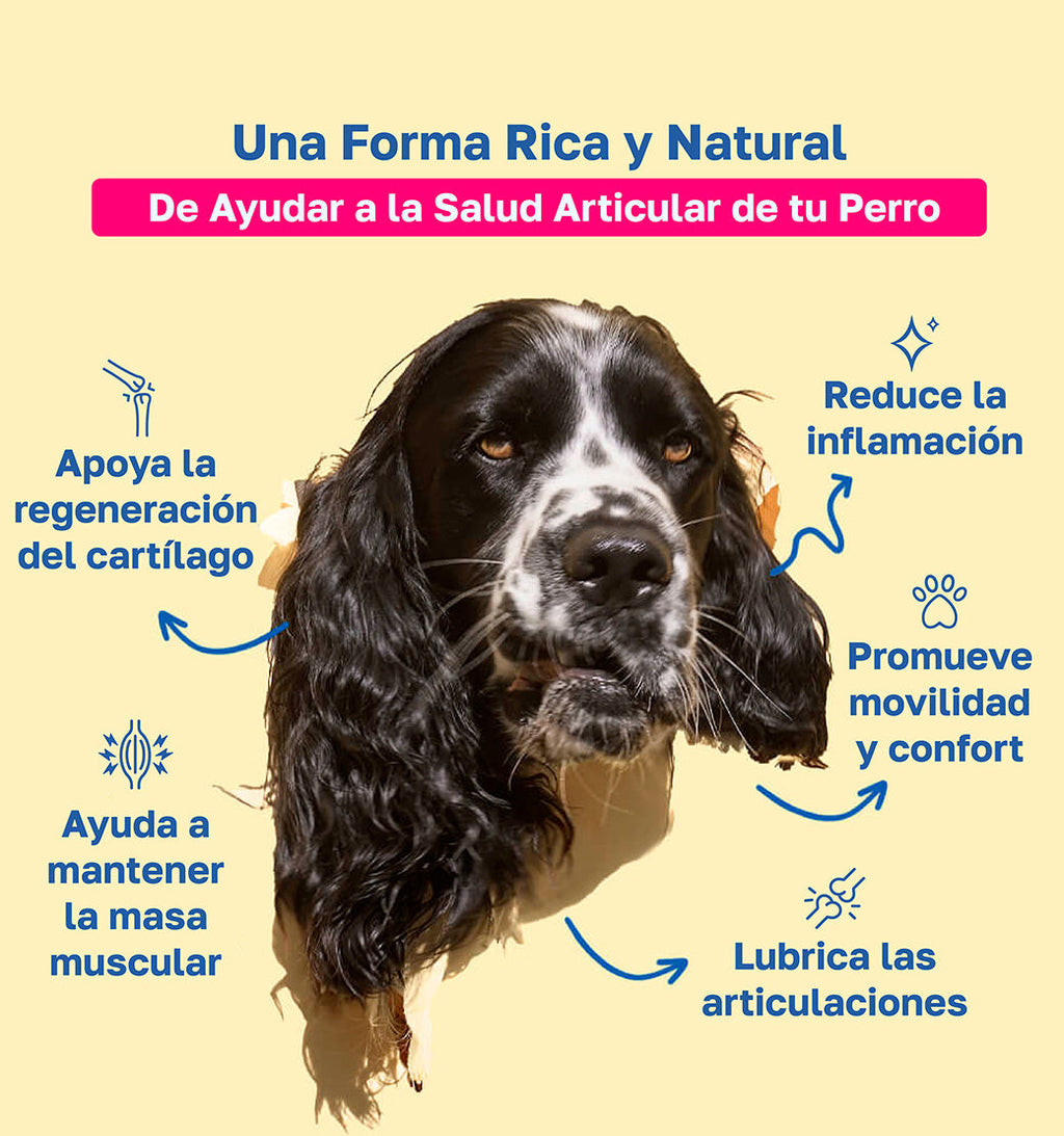 Beneficios de mobility:  apoya la regeneracion del cartilago, Reduce la inflamacion, promueve movilidad y confort , ayuda a mantener la masa muscular, Lubrica las articulaciones