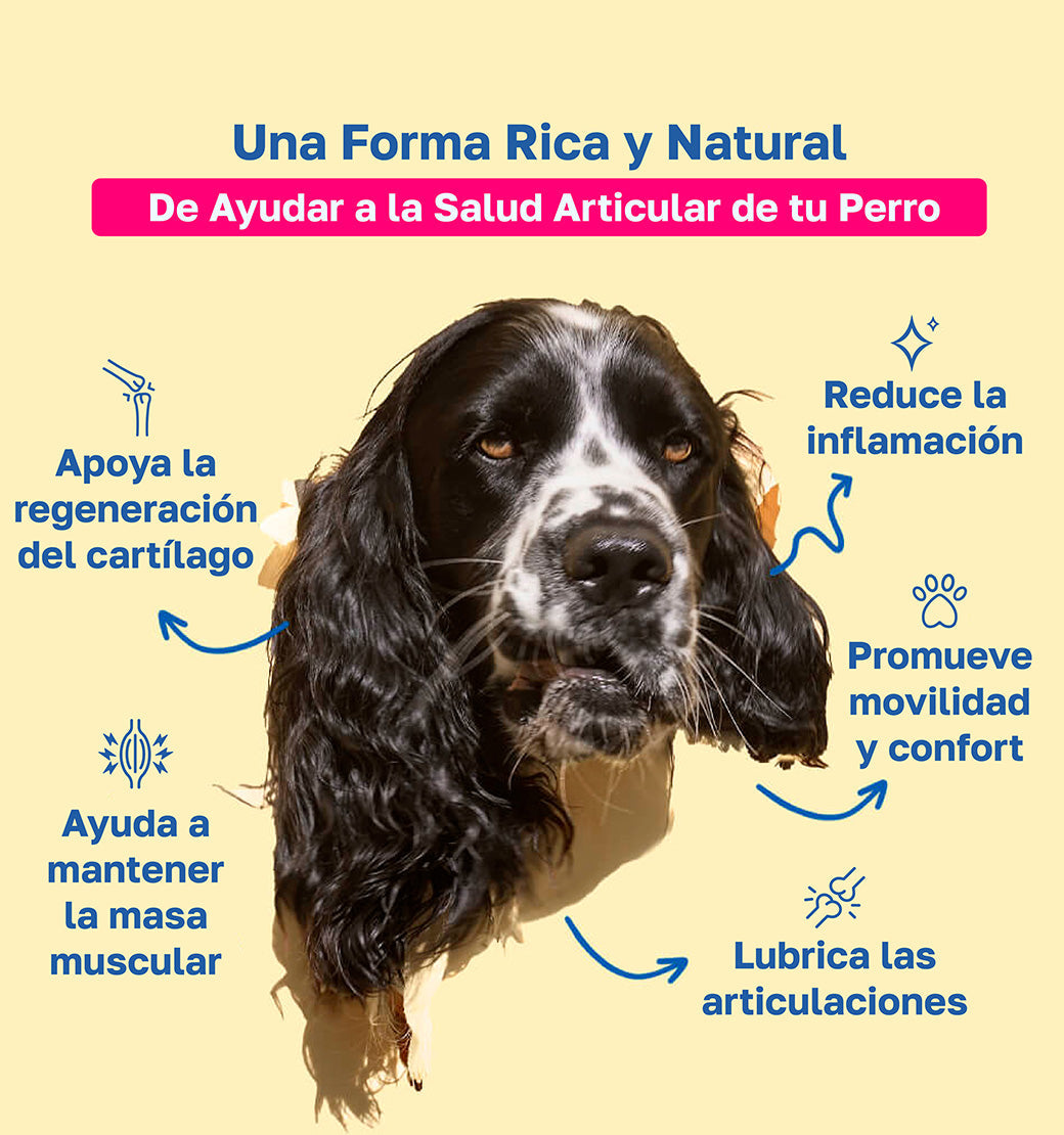 Beneficios de mobility:  apoya la regeneracion del cartilago, Reduce la inflamacion, promueve movilidad y confort , ayuda a mantener la masa muscular, Lubrica las articulaciones