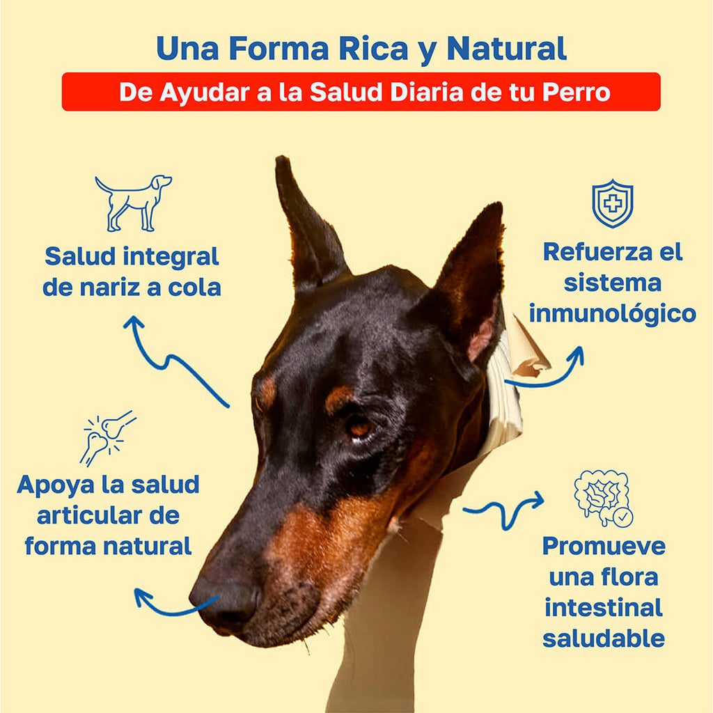 Beneficios multivitamin: Salid integral de nariz a cola, refuerza el sistema inmunologico, apoya la salud articular de forma natural, promueve una flora intestinal saludable 