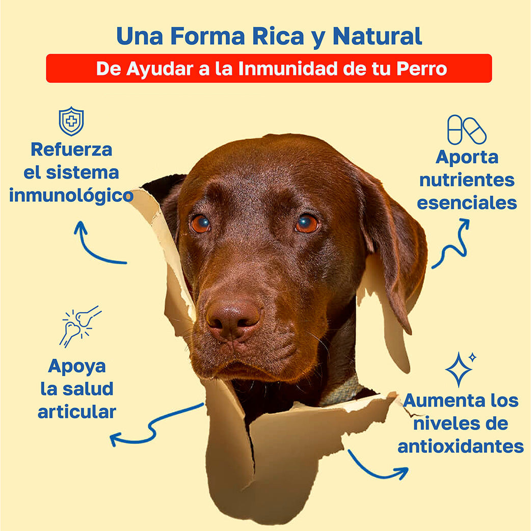 Beneficios de inmunity: Refuerza el sistema inmunologico, aprota nutrientes escenciales, Apoya la salud articular, Aumenta los niveles de antioxidantes.