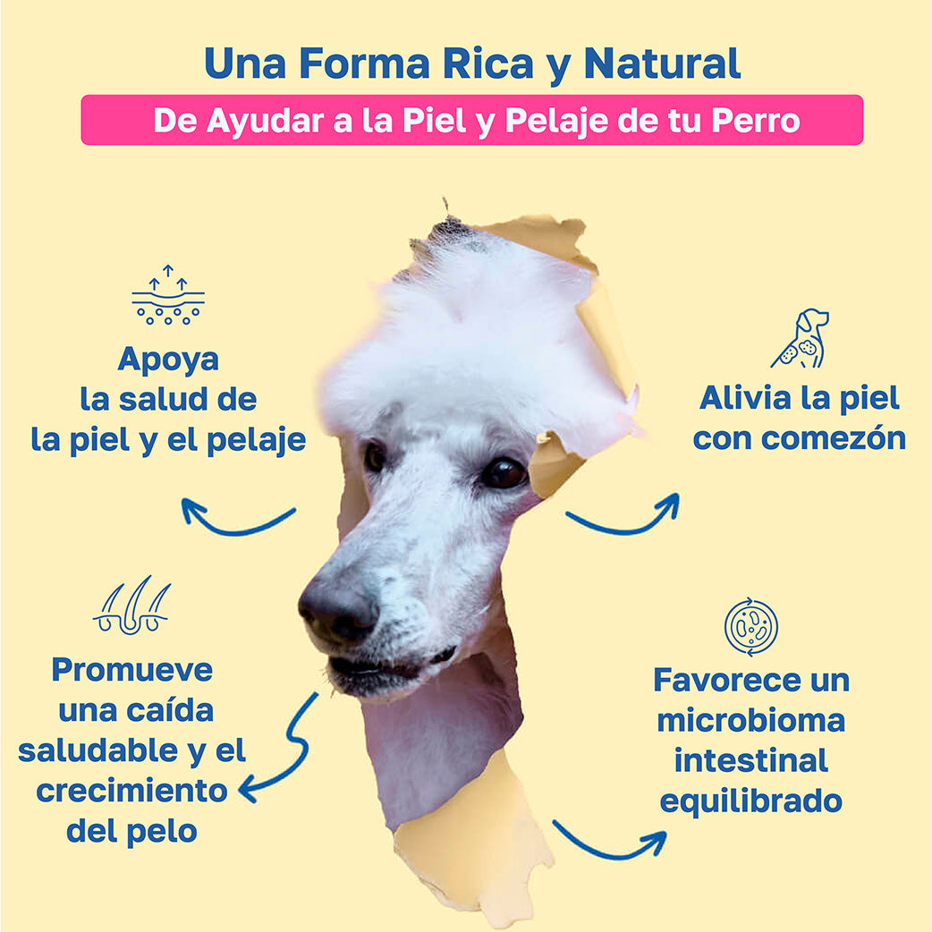 Descripcion Skin and coat: Apoya a la salud de la piel y pelaje, Alivia la con comezon, Promueve una caida saludable y el crecimiento de pelo, Favorece un microbioma intestinal equilibrado 