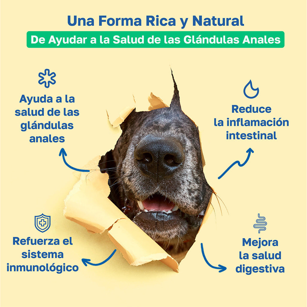 Beneficios scoot stop: Ayuda a la salud de las galndulas anales, Reduce la inflamacion intestinal, Refuerza el sistema inmunologico, Mejora la salud digestiva 