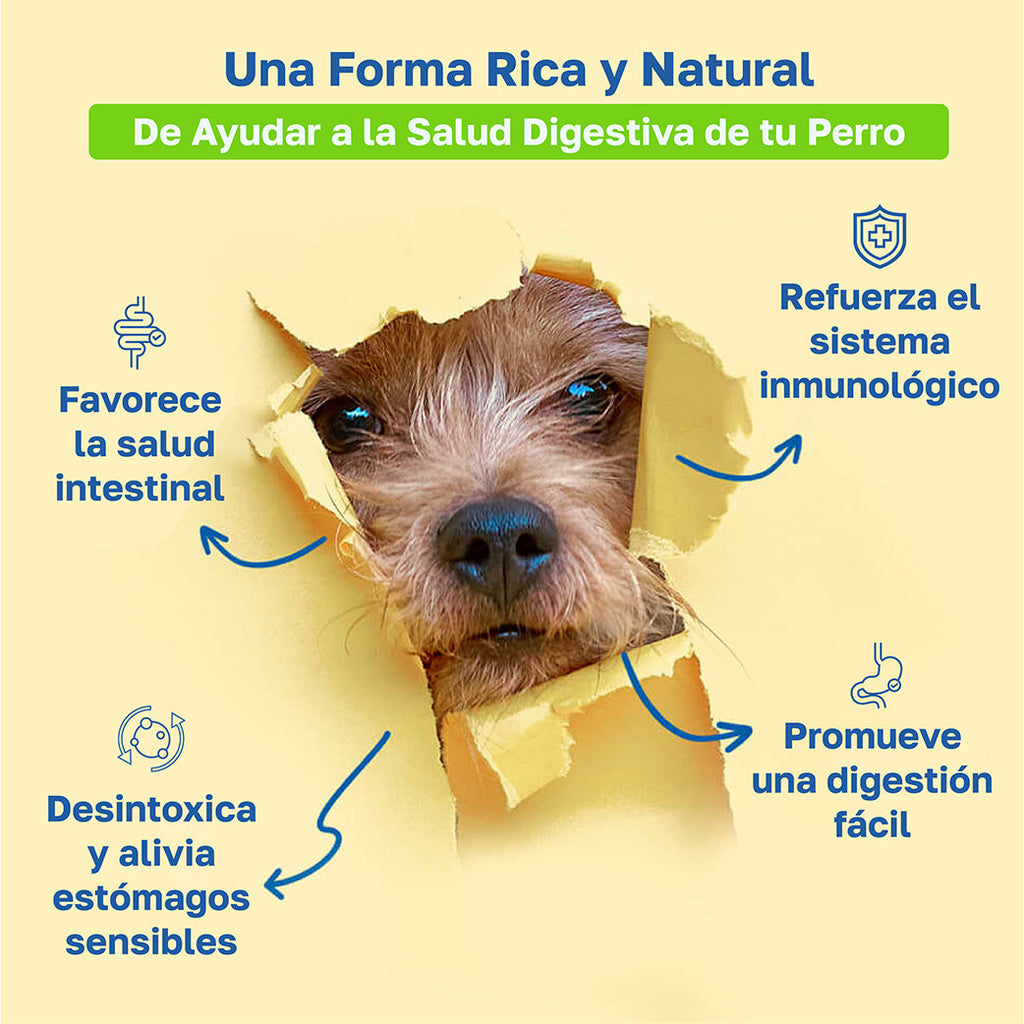 Descripcion Digestive: Favorece la salud intestinal, Refuerza el sistema inmunologico, Desintoxica y alivia estomagos sensibles, promueve la facil digestion 