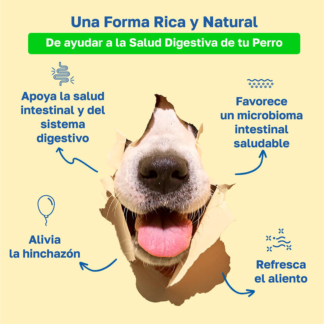 Descripcion probiotic: Apoya la salud intestinal y del  sistema digestivo, Favorece un microbioma intestinal saludable, alivia la hinchazon, refresca el aliento