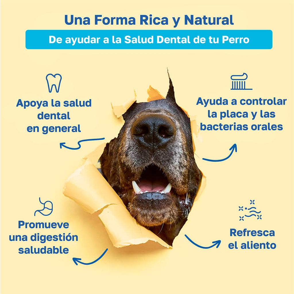 Beneficios dental: Apoya la salud dental general, ayuda a controlar la placa y bacterias orales, promueve una digestion saludable, refresca el aliento.
