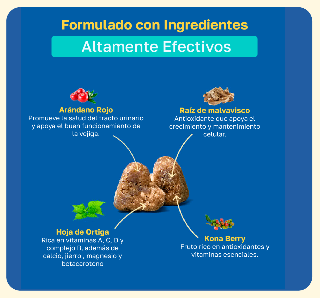 Formulacion de ingredientes, Arandano rojo, Raiz de malvavisco, Hoja de ortiga y Kona berry