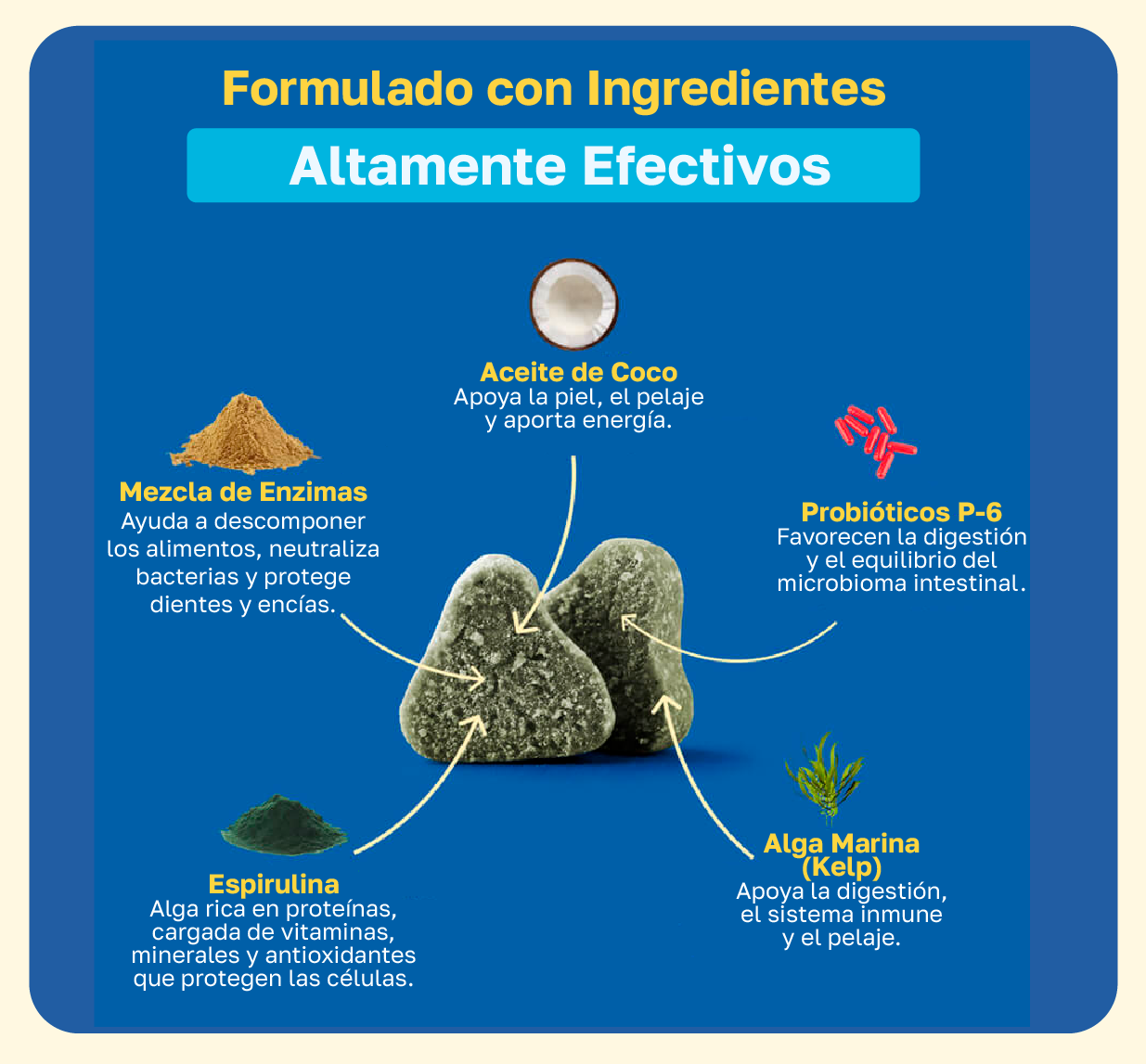 Formulacion de ingredientes: Mezcla de Enzimas, Aceite de Coco, Probiotico p-6, Espirulina, Alga Marina 