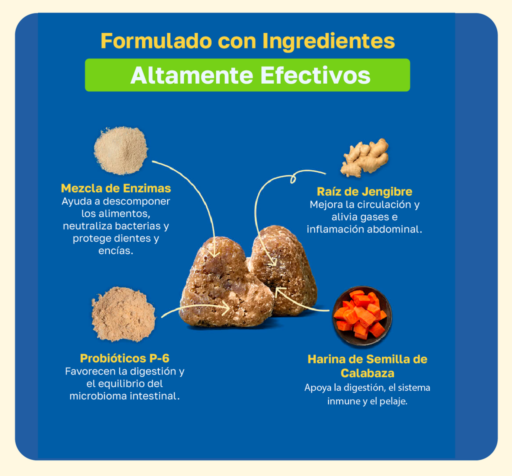 Ingredientes digestive: Mezcla de enzimas, Raiz de jengubre, Probioticos p-6