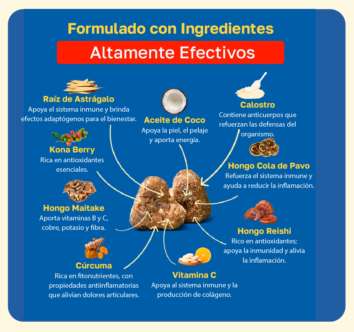 Raiz de astragalo, Aceite de cooo, calostro, Kona berry, hongo de cola de pavo, hongo maitake, hongo reishi, vitamina c, curcuma 