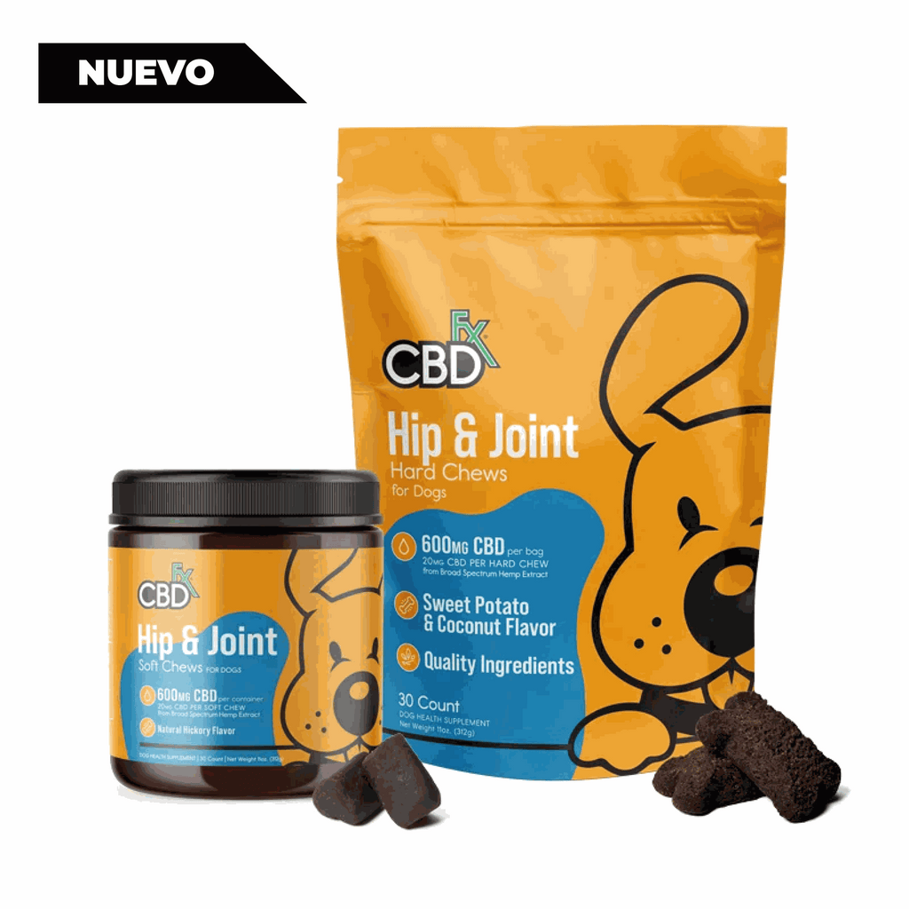 Premios para perros con CBD: masticables para cadera y articulaciones