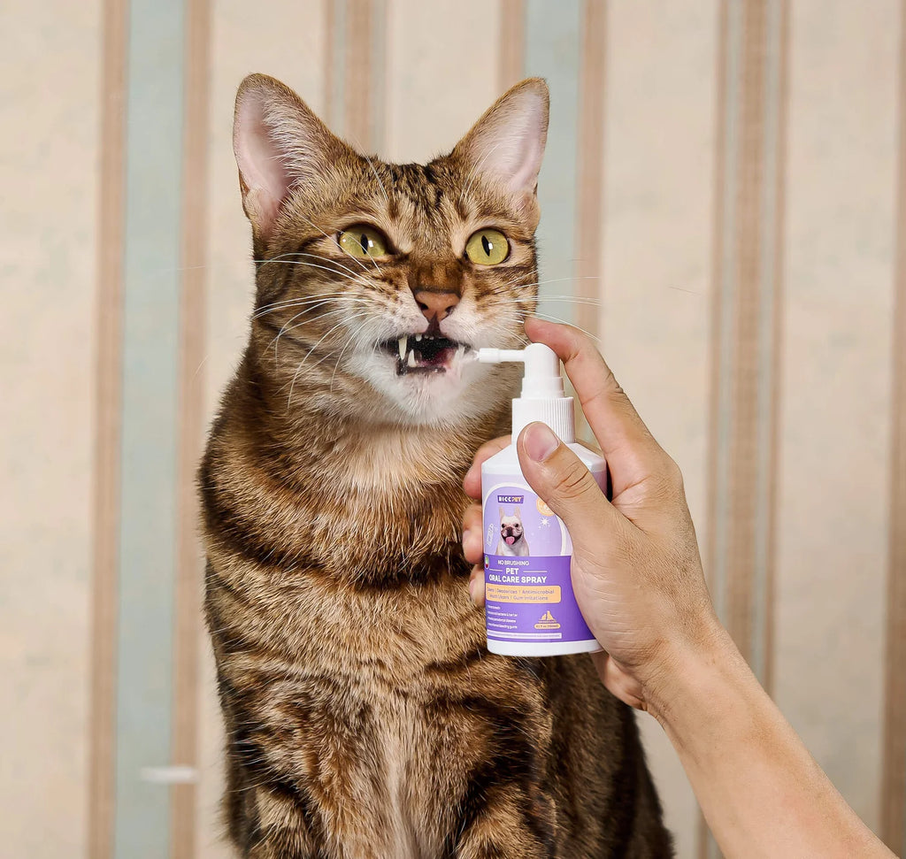 Spray dental para el cuidado bucal de perros y gatos