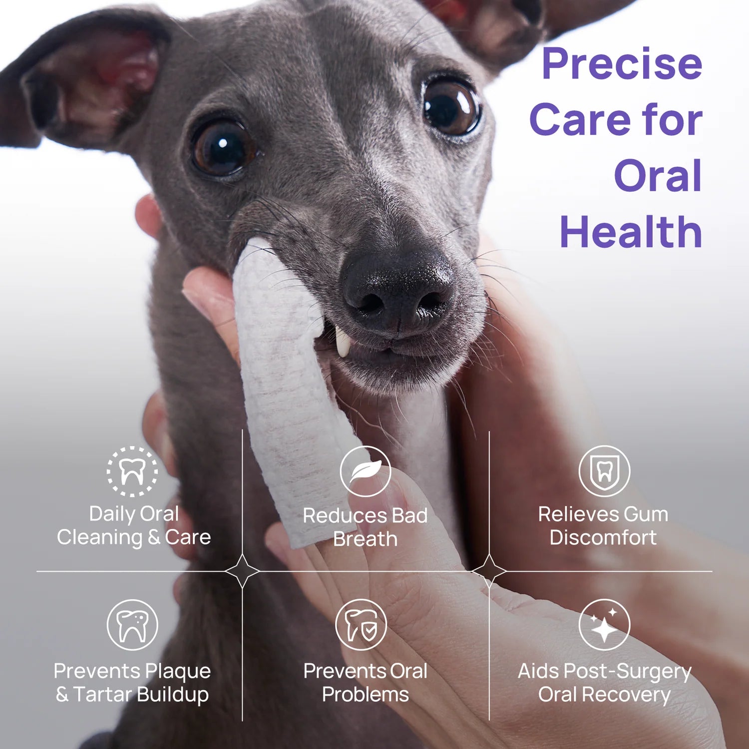 Gel para el cuidado bucal de perros y gatos