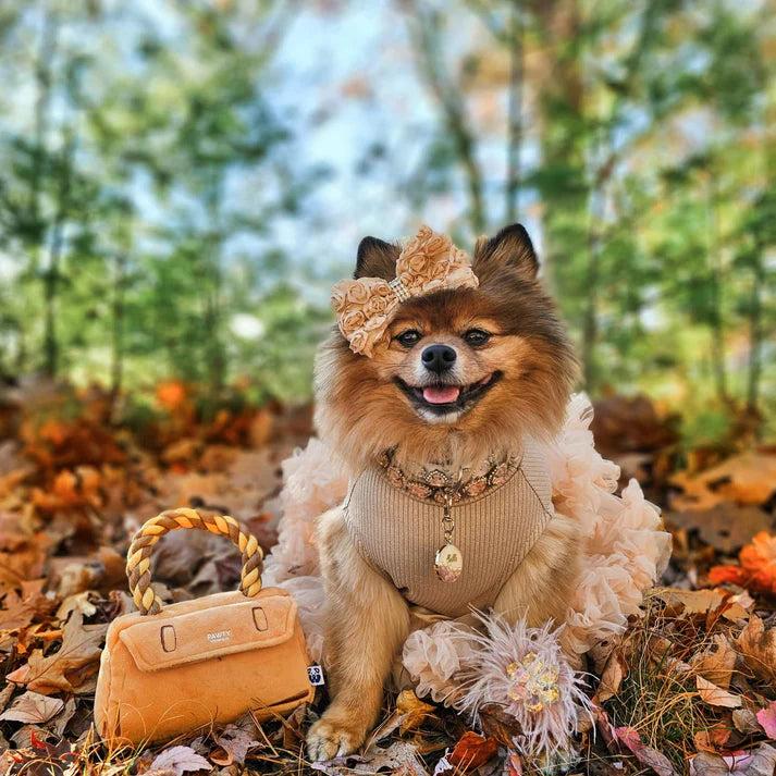 PAWTY Barkin