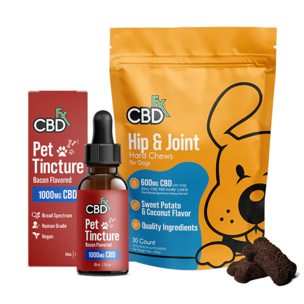 CBD para mascotas: combo movilidad