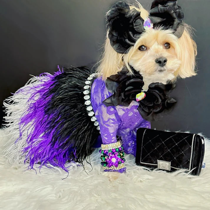 PAWTY Chewnel