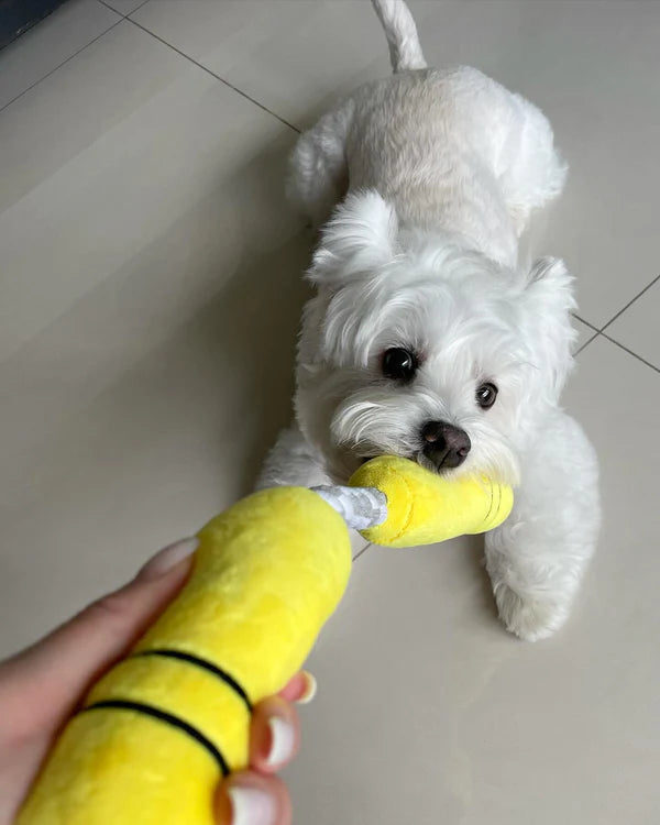 PAWTY Nunchucks