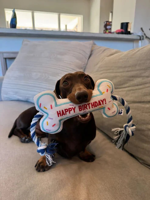 PAWTY Birthday Bone